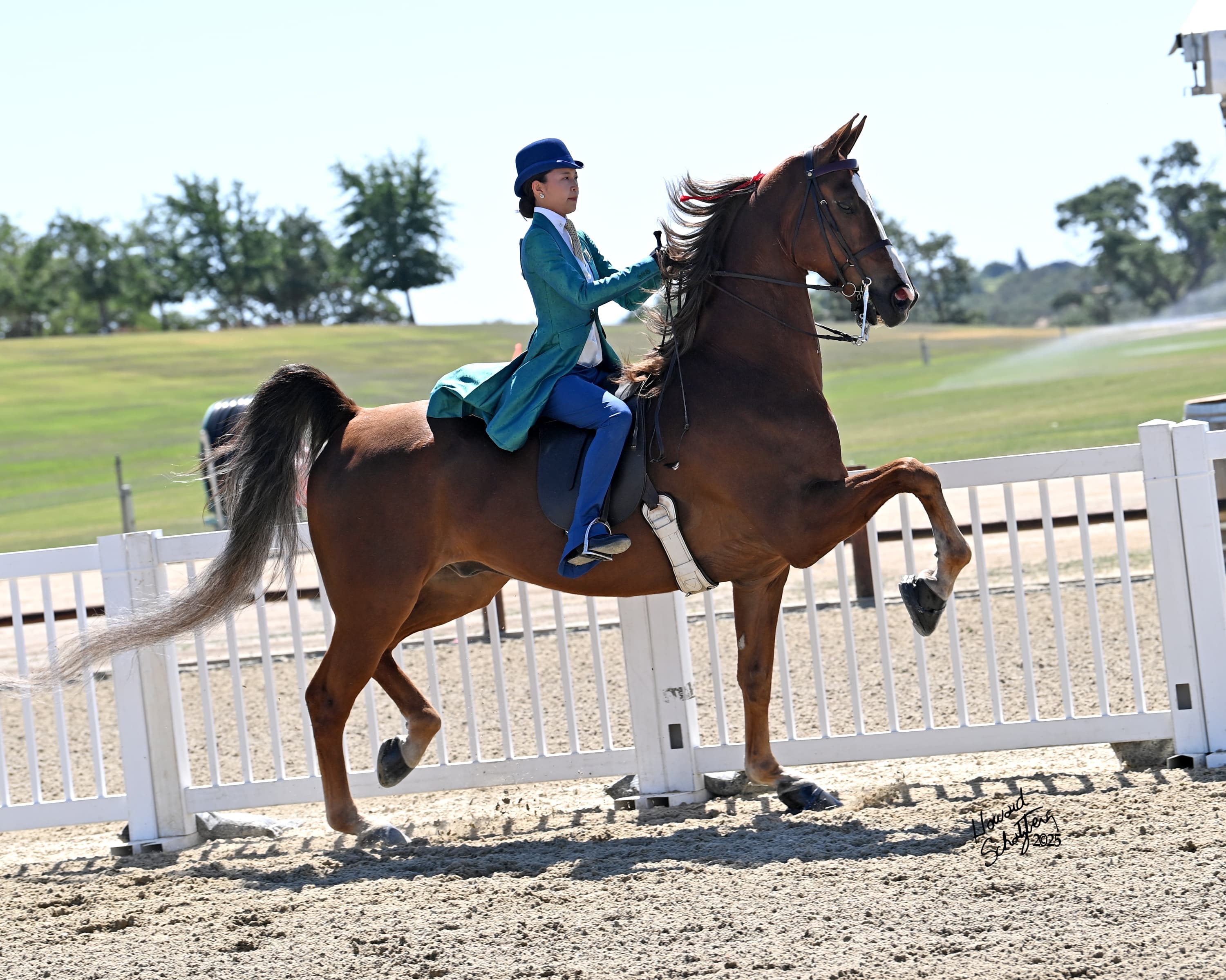 Rushton rider in teal showing a horse